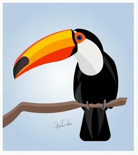 Toucan for kids