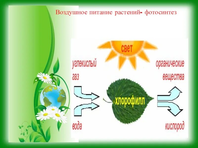 Воздушное питание растений фотосинтез. Воздушное питание растений фотосинтез 6 класс. Воздушное питание растений схема. Процесс воздушного питания растений. Минеральное питание фотосинтез дыхание