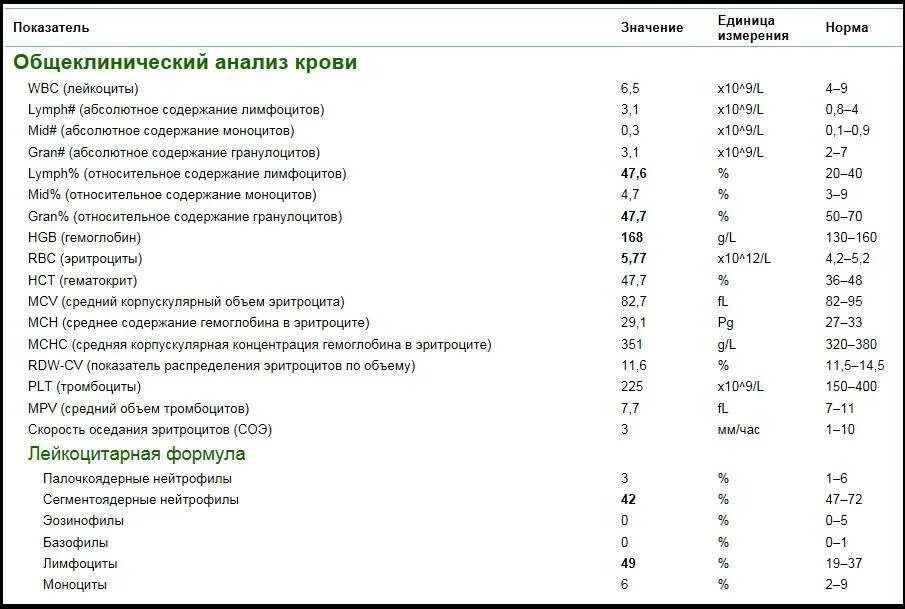 Эритроциты на латинском