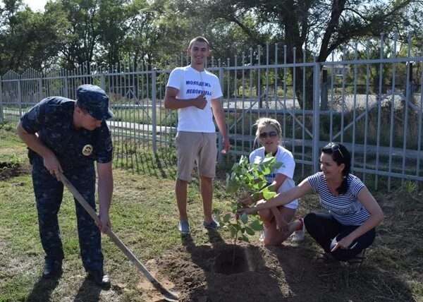 Погода на неделю в левокумском районе ставропольского. Виноград Левокумский. Глава Левокумского района Ставропольского края. Лес Победы Зеленокумск.