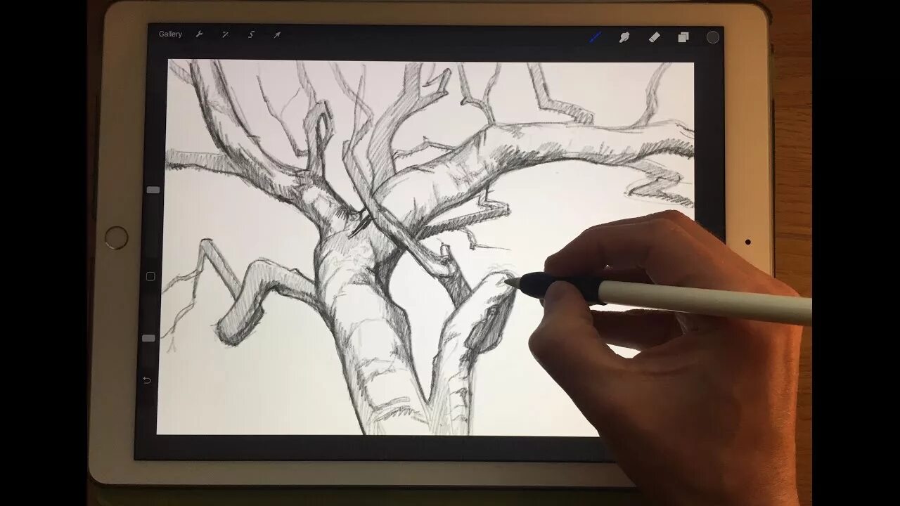 Procreate pencil. Ipad pro procreate. карандаш для рисования на планшете. уроки рисования на айпаде. ipad для рисования.