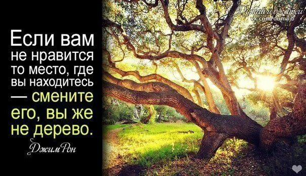 Вы же не дерево. Если вам не Нравится место где вы находитесь смените его. Вы же не дерево если вам. Смените его вы не дерево.