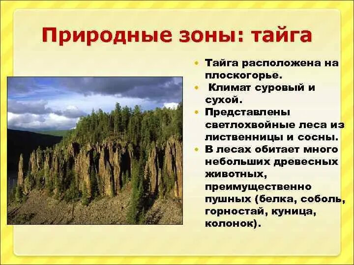 Рельеф природной зоны тайги. Тайга природная зона. Природные зоны презентация. Доклад о природной зоне Тайга. Природный комплекс тайги.