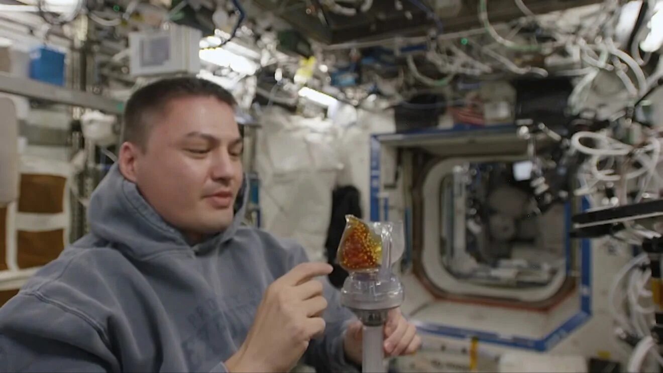 Физическая подготовка космонавтов. Беговая дорожка на мкс. Кислород в космонавтике. Аппарат для тренировки космонавтов. Шариковая ручка в космосе.