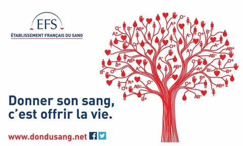 Don sing