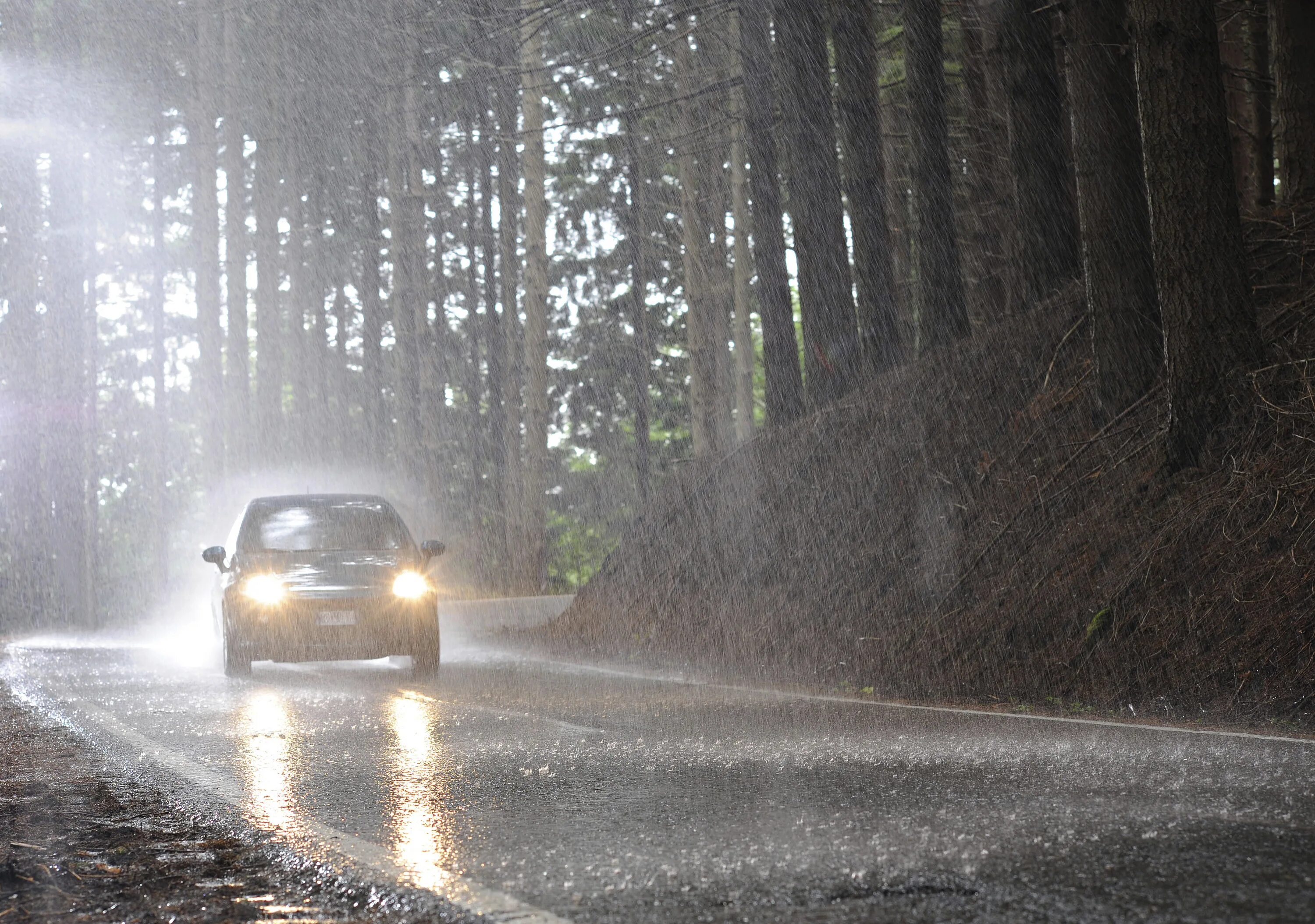 люди в городе. идет дождь в дорогу. осень моросила. лето дождь. граница дождя и солнца.