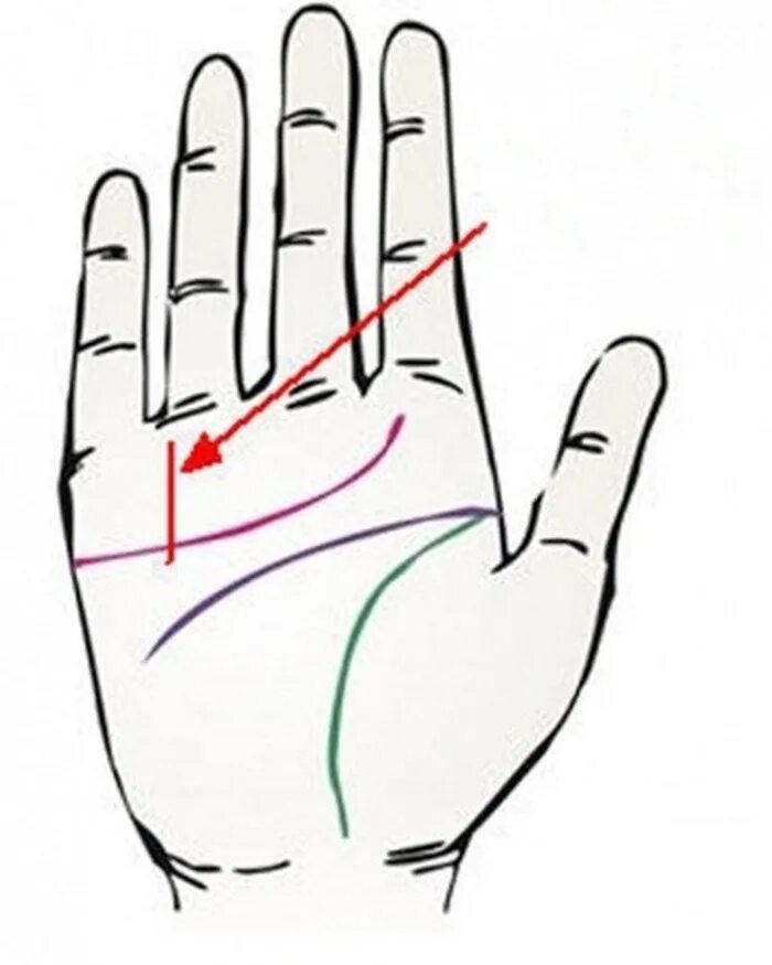 Знаки на холме луны хиромантия. Горизонтальная линия от большого пальца к линии жизни. Хиромантия линия мезенцев. Линия на руке от мизинца. Линия аполлона на руке хиромантия.