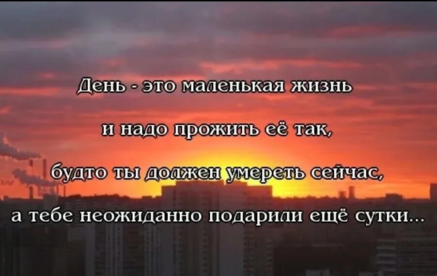 Жизнь которую я не помню. Жить одним днем цитаты. надо жить цитаты. живите одним днем. живите своей жизнью цитаты.