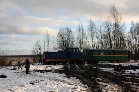 Погода в тесово