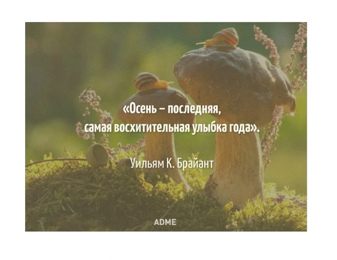 Самые впечатляющие слова