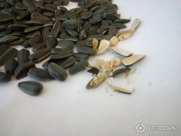 Семечки домашние. Семечки с голубем на упаковке. Щелкарики семечки мария ра. Жареные семечки подсолнуха. Можно ли есть семечки при похудении.