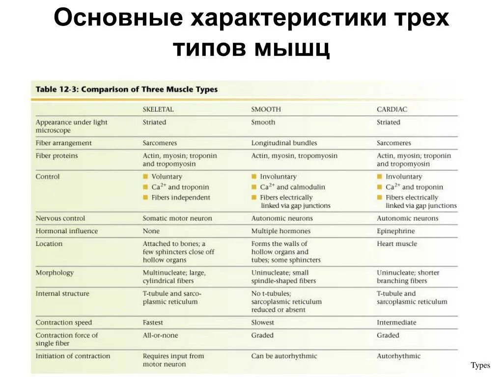 Модельные характеристики соревновательной деятельности. Сравнительная характеристика видов мышечной ткани. Модельные характеристики. Сравнительная характеристика типов мышц. Характеристика кач.