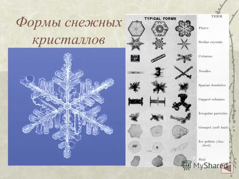Шести угольные снпжинки. Силиконовые формы для выпечки снежинка. Много снежинок. Snow past simple. Вторая форма слова snow.