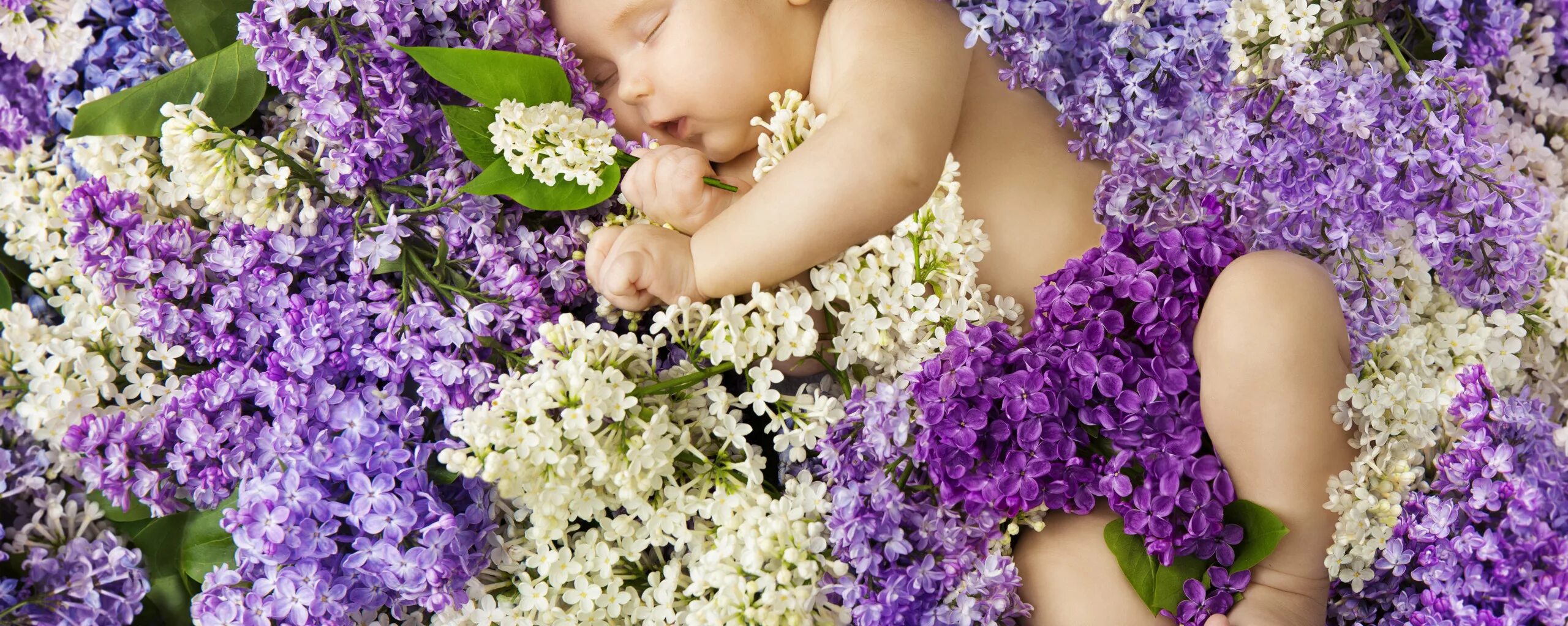 Большие цветы во сне. Сон цветы. Фото в сирени мама с ребенком. Пасхальные картинки фото на рабочий стол с детками.