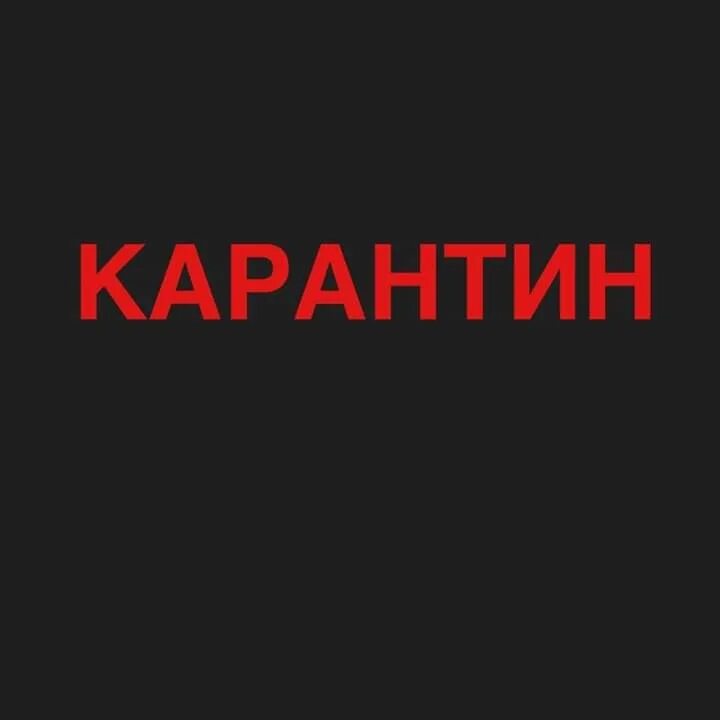 Мемы про карантин 2020. Второй день карантина. Дикие мемы. Карантин надпись. Карантин приколы.