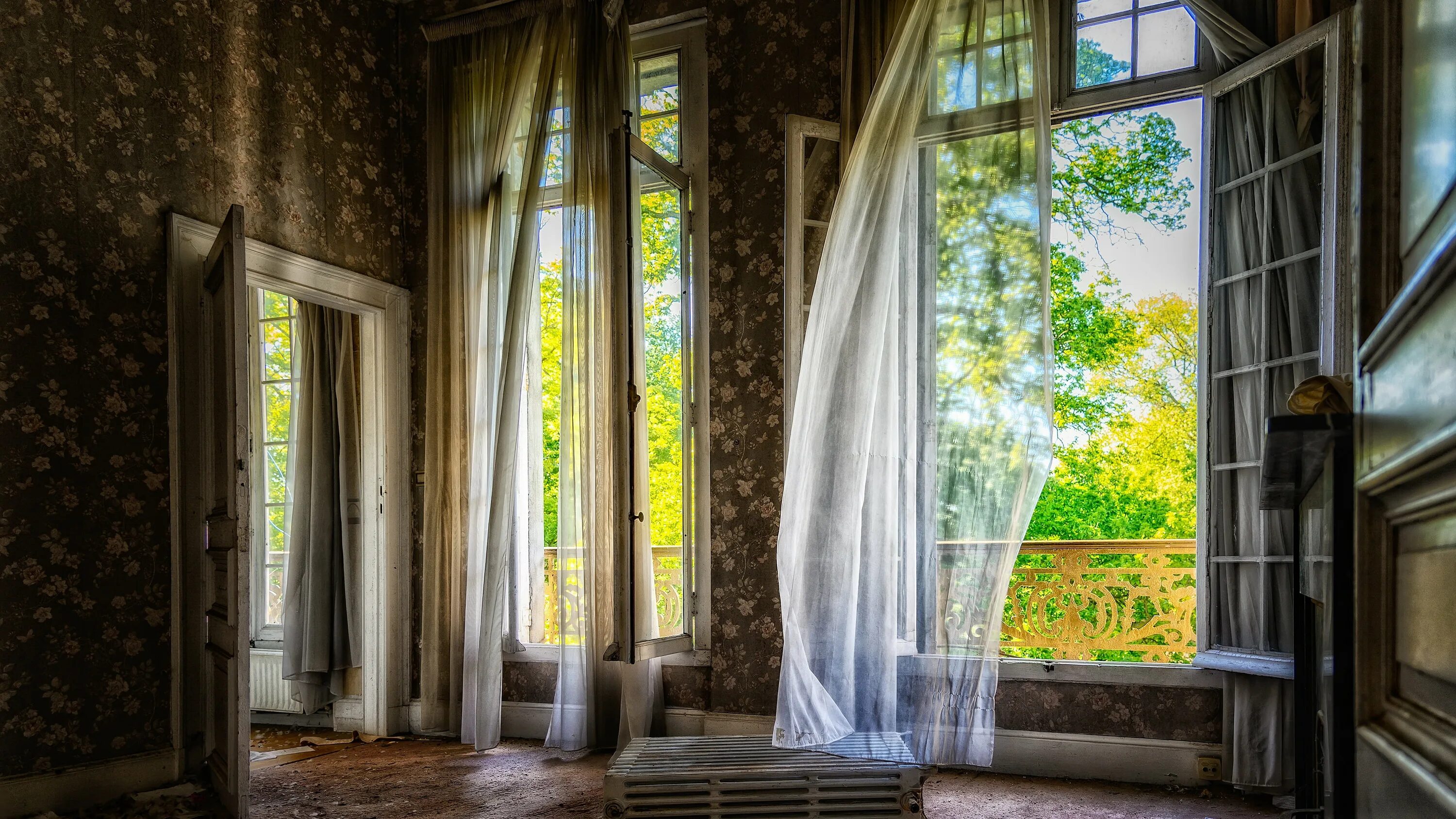 Wind window