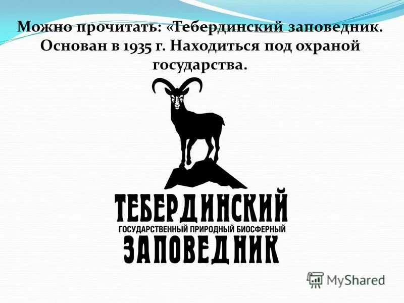 охрана сообщества леса. наклейка объект под охраной. под охраной государства. внимание объект находится под охраной. объект под охраной.