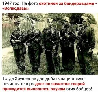 Книга смерш волкодавы