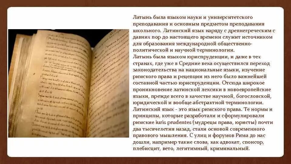 Деятельность латынь. Происхождение латинского языка. Латинский язык язык науки. История латыни. Роль латинского языка.