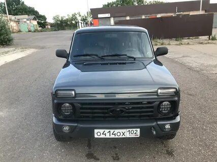 Sal man нива
