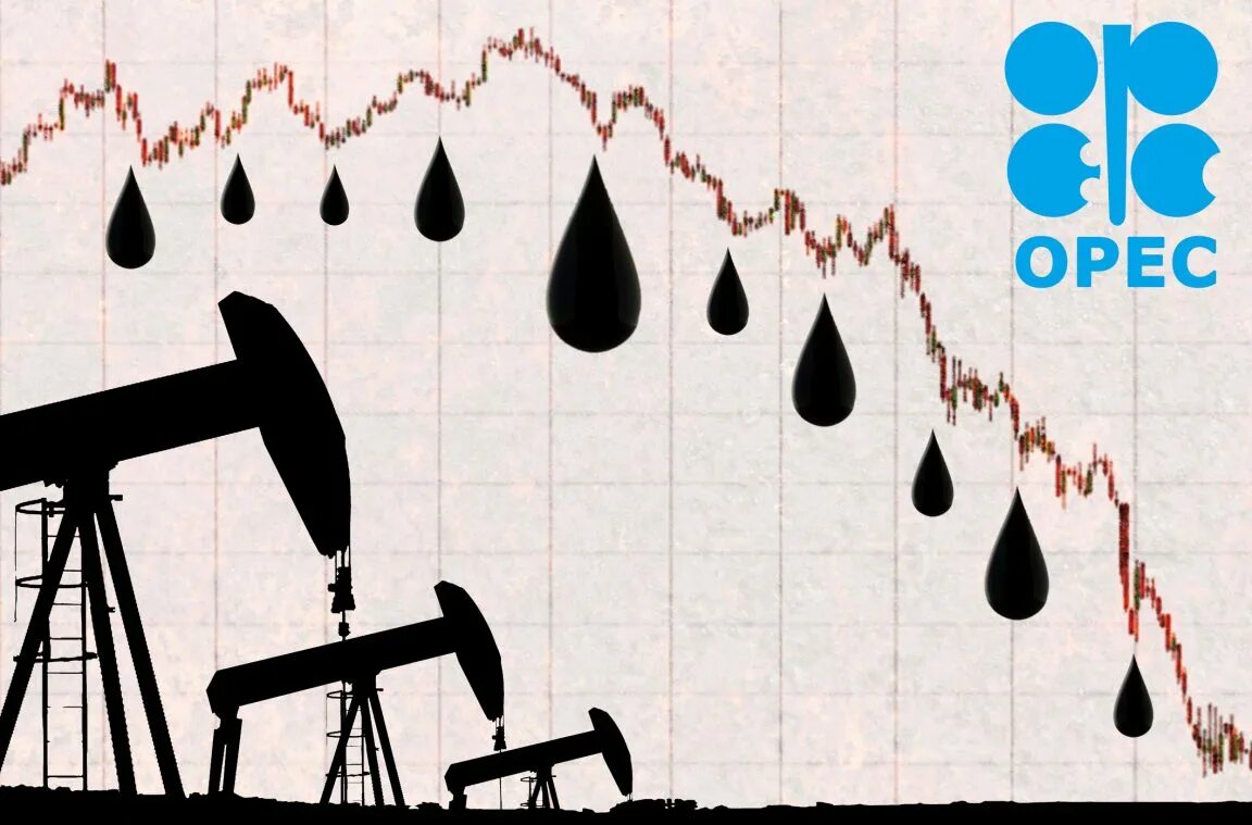Задание нефть. Опек нефть. проблемы опек. перспективы опек. картинки опек и нефти.