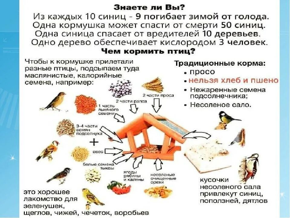 Чем кормить птиц зимой в кормушках синиц