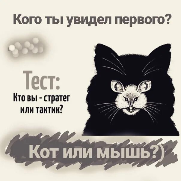 Тест мышки и кошки. Контрольная работа кот. Кот стратег. Тест с котами и мышкой.