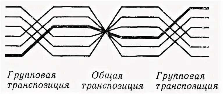 Виды транспозиции