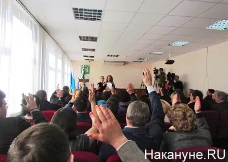 Дума березовского городского