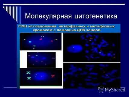 Молекулярная цитогенетика