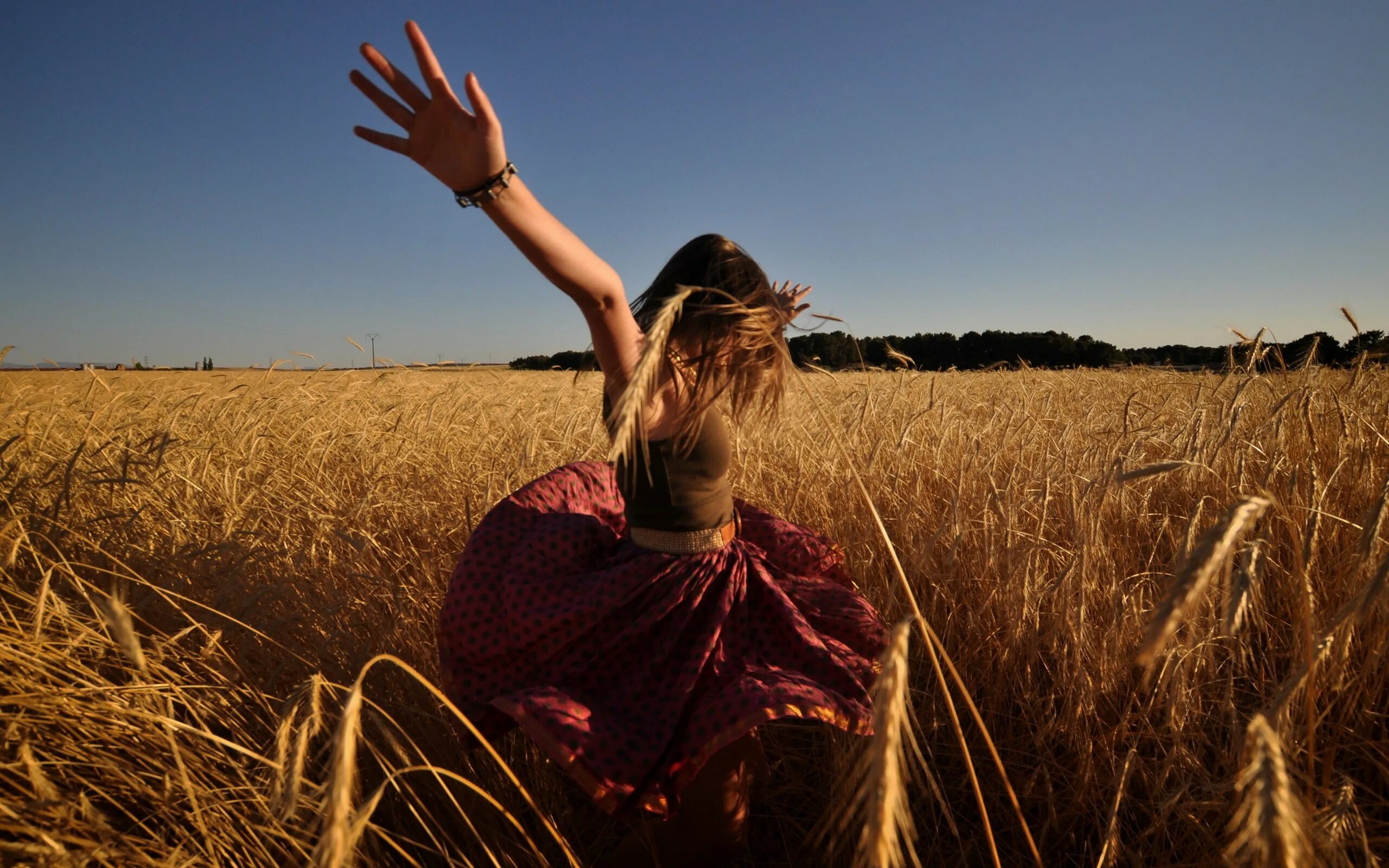 Кипела свобода. Девушка в поле. Фотосессия в поле. Девушка в поле фотосессия. Фотосессия в пшеничном поле.