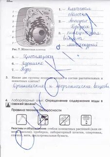 Химия 7 габриелян тетрадь