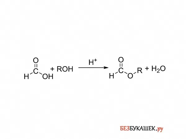 Муравьиная кислота этиловый эфир муравьиной кислоты реакция