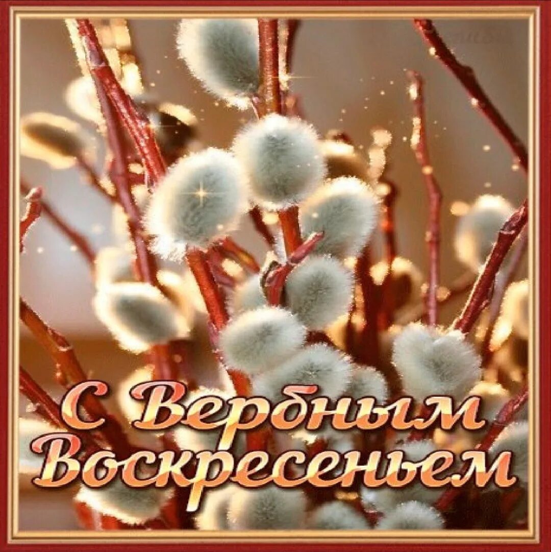 Вербное воскресенье что это за праздник. С Вербным воскресеньем. Открытка с Вербным. Вербное воскресенье 2021. Открытки с Вербным Воскре.