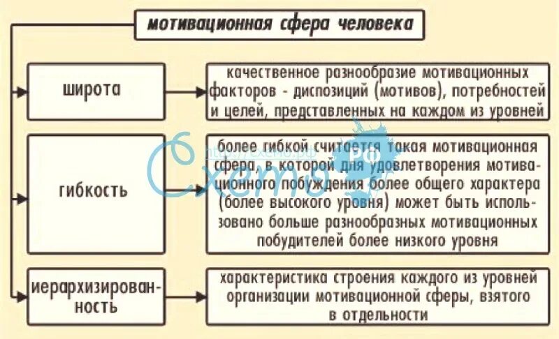 Мотивация сфера личности. Структура мотивационной сферы. Характеристики мотивационной сферы. Структура мотивационной сферы человека. Общее строение мотивационной сферы человека.