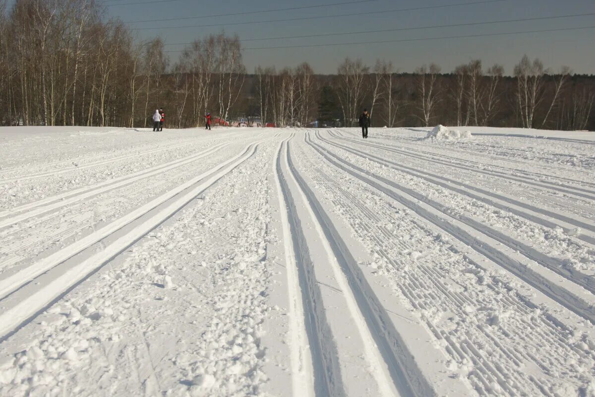 Участки лыжник. Лыжная трасса. Лыжная колея. Катки и лыжные трассы. Накатанная лыжная трасса.