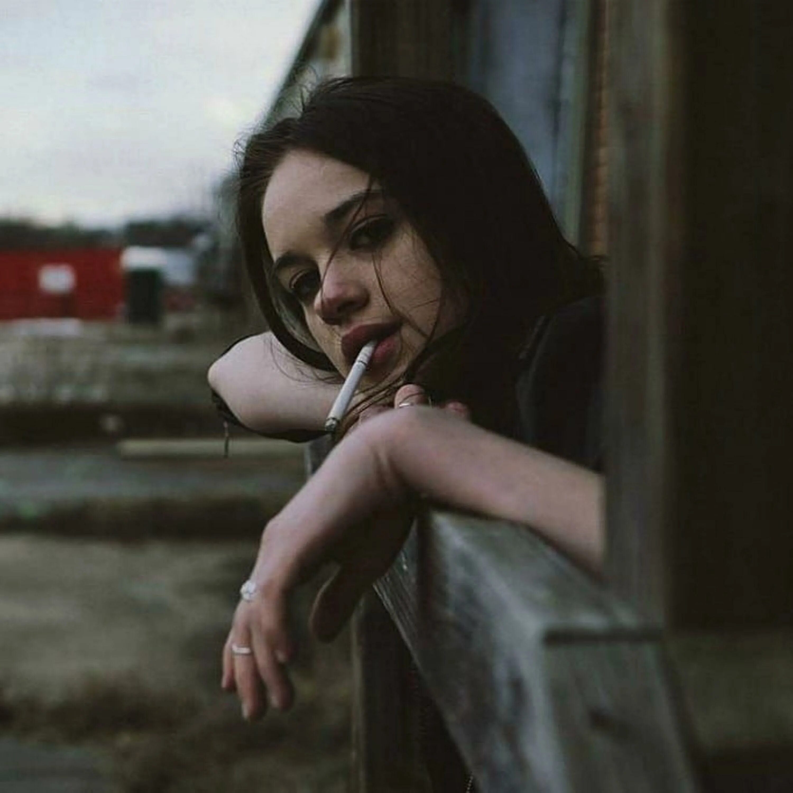 снегирь девочка. вишня на снегу. вишня на снегу. зимняя вишня ягоды. глоток любви.