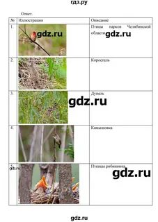 Биология 7 класс сарычева