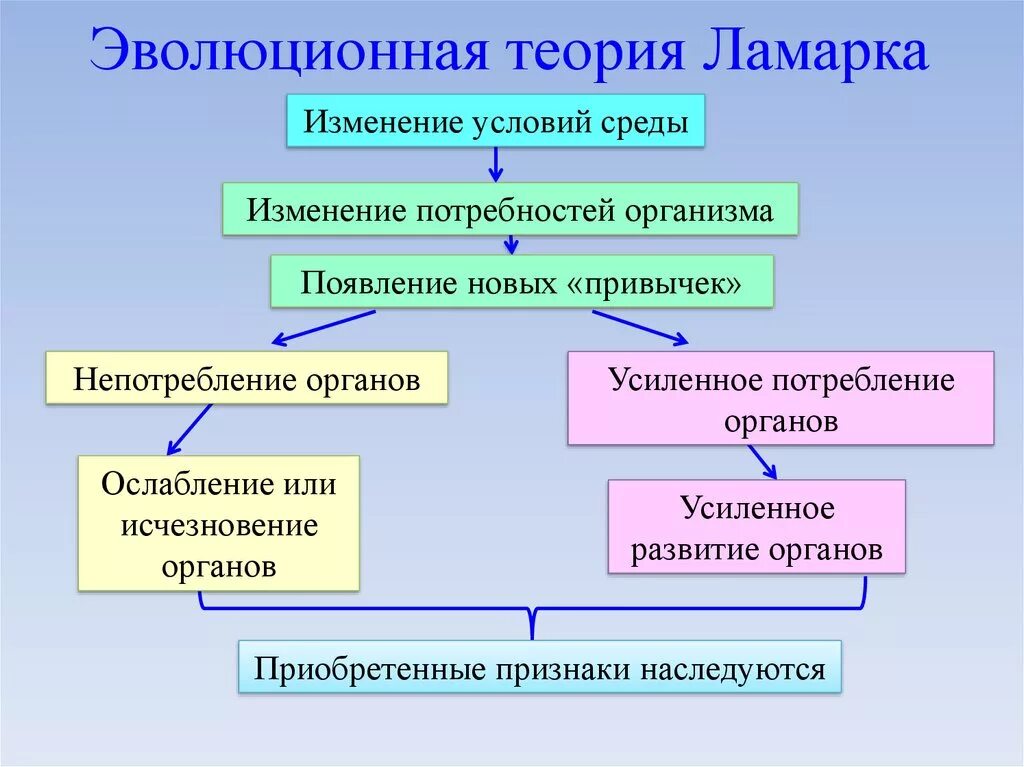 Основные гипотезы эволюции