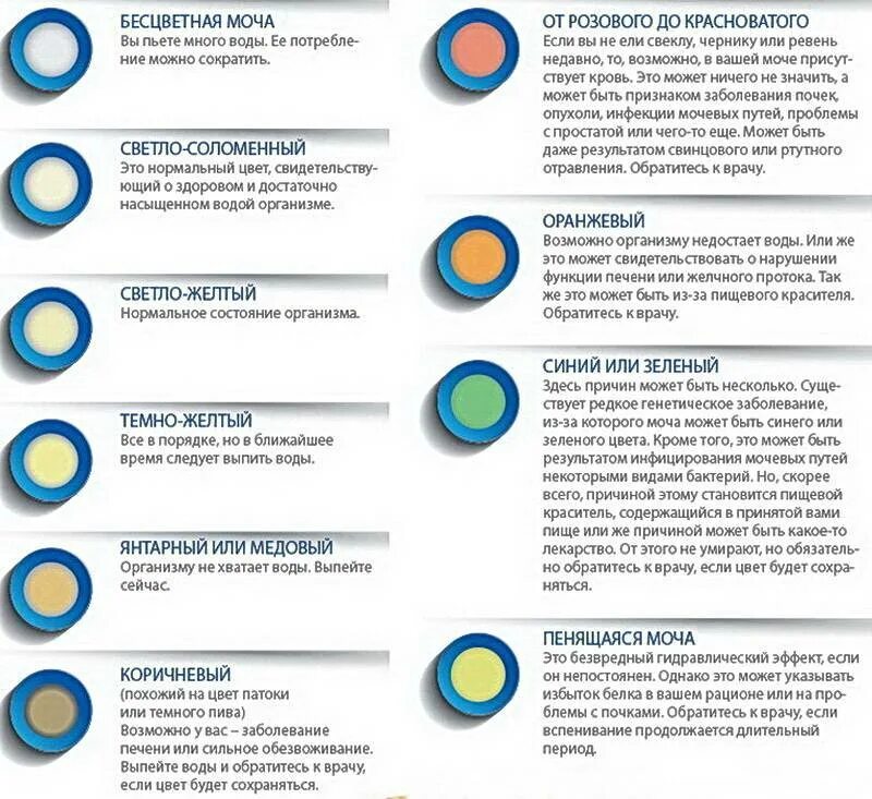 Цвет мочи. Прозрачная бесцветная моча. Прозрачная желтая моча. Бесцветная моча у ребенка.