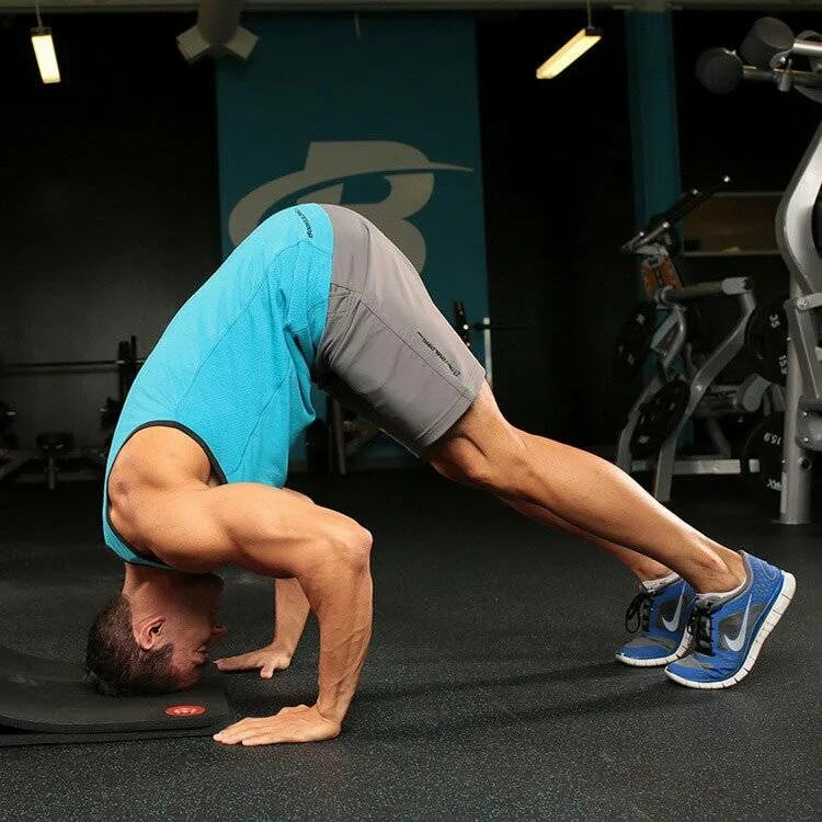 Тренировка шеи в зале. Мостик упражнение на голове. Упражнения для накачки мышц шеи. Тренировка мышц шеи. Накачать шею.