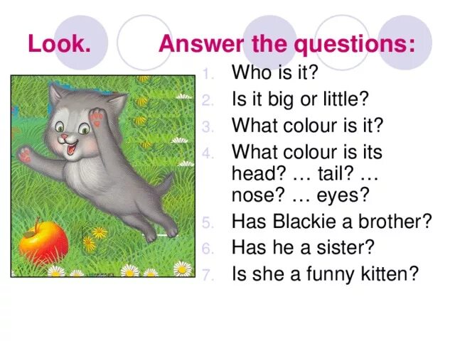 8 look and answer the questions. What is it who is it. Задание на what is it. What Colour is it задания. Ответ на вопрос who is it.