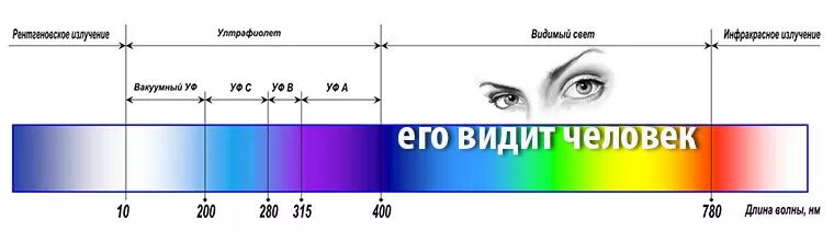 Длина и частота ультрафиолетового излучения. Видимый спектр УФ излучения. Спектр УФ ИК излучения. УФ излучение длина волны. Диапазон длин волн видимого света.