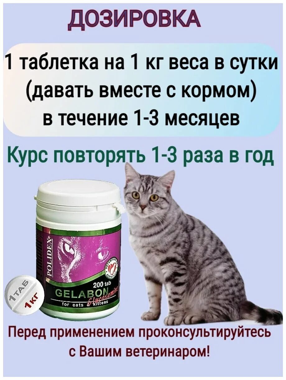 Polidex gelabon plus. Витамины для кошек полидекс гелабон. Гелабон для кошек. Polidex gelabon для кошек 80 таб. Витамины для кошек полидекс гелабон.