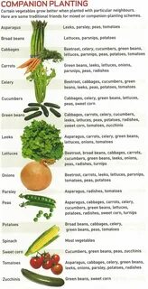 Grow vegetables перевод