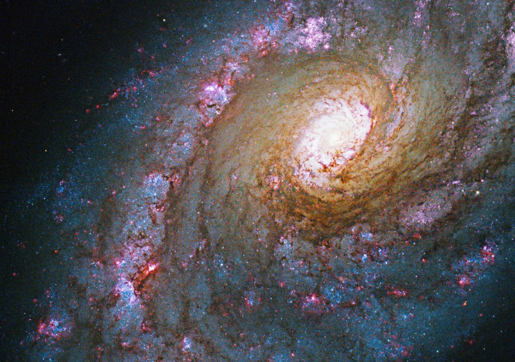 Hubble extreme deep field 4 k. Галактика млечный путь хаббл. Существуют ли другие галактики. Существуют ли другие галактики. Спиральная галактика хабл.