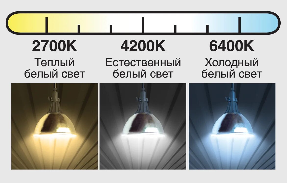 Какой сегодня свет. Лампа светодиодная 6500 Кельвинов дневной свет. Светодиодная лампа 2700 Кельвинов теплый свет. Лампа 6500 Кельвинов. Лампа светодиодная 6500 Кельвинов.