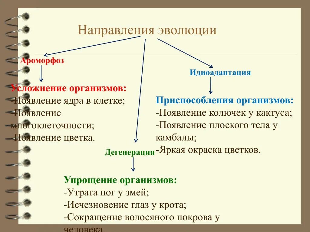 Ароморфоз адаптация. Главные направления эволюции ароморфоз. Главные направления эволюции идиоадаптация. Направления эволюции таблица 11 класс. Направление эволюции ароморфоз идиоадаптация дегенерация таблица.