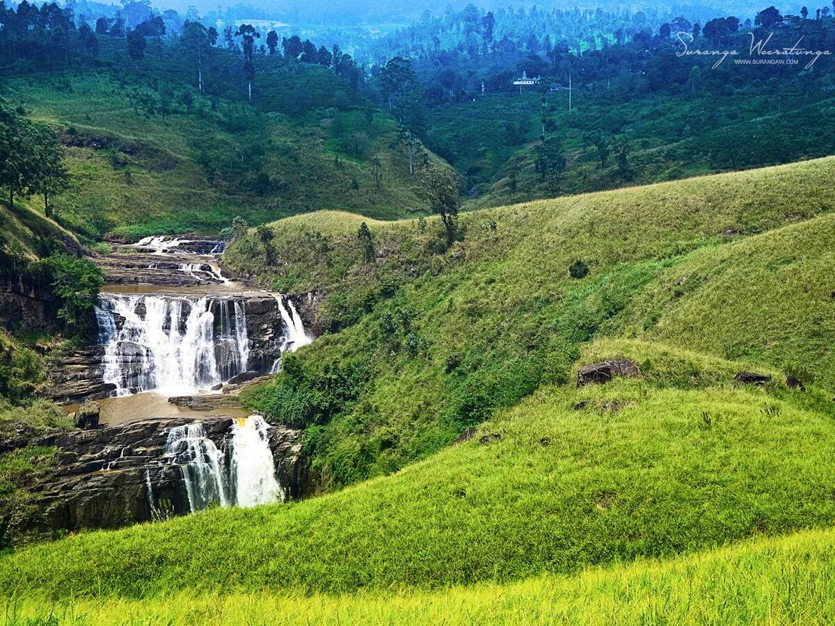 Фото шри. Nuwara Eliya Шри Ланка. 9. Нувара-Элия. Природа Шри Ланки. Природа Цейлона.