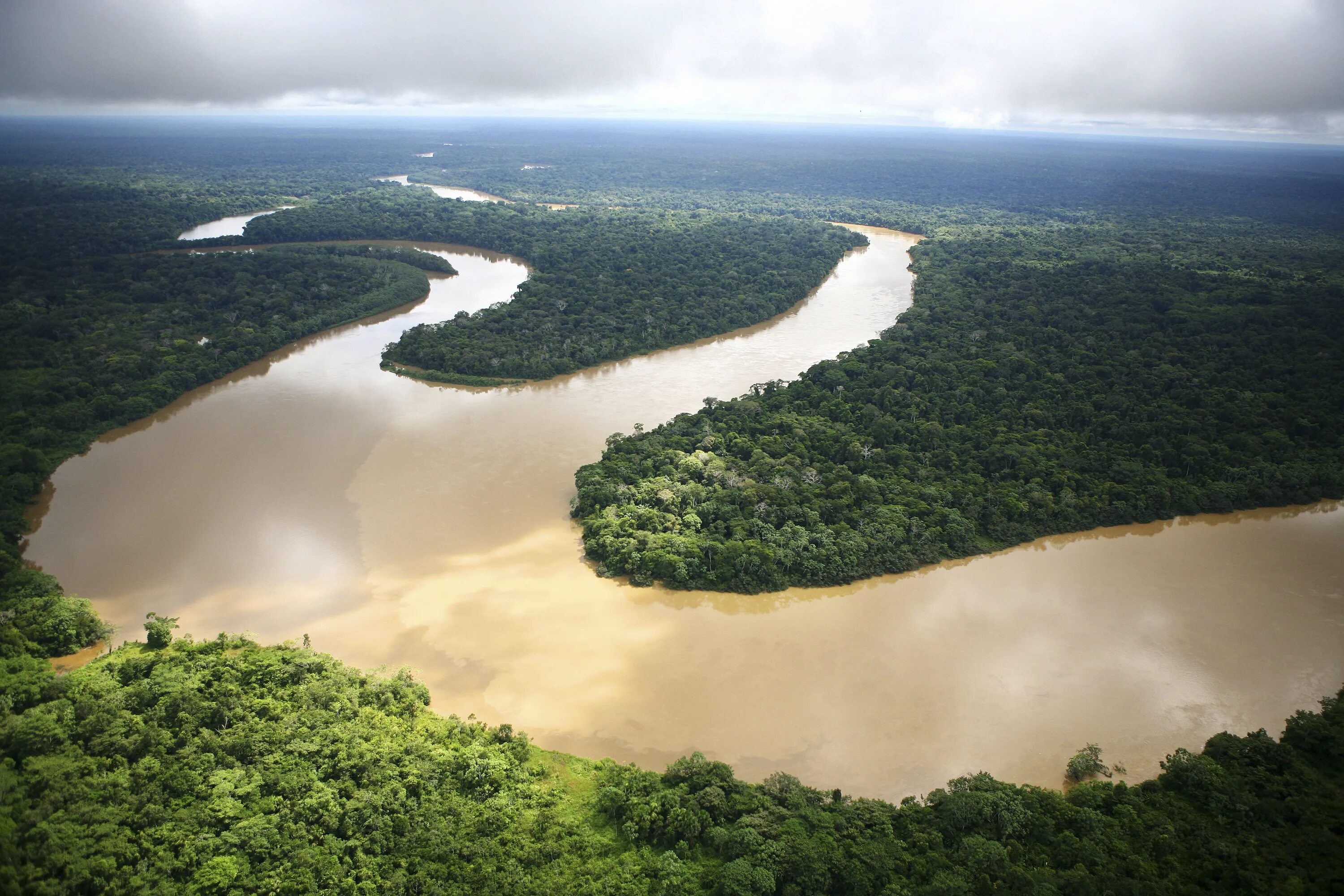 Реки страны бразилия. Амазония река Амазонка. Река Амазонка Ориноко. Река Ориноко Южная Америка. Миссисипи Парана Ориноко Амазонка.
